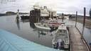 ./images/quadra/hbidock/20200609/hbidock20200609_124500M.jpg