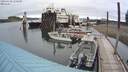 ./images/quadra/hbidock/20200609/hbidock20200609_150500M.jpg