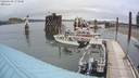 ./images/quadra/hbidock/20200609/hbidock20200609_173000M.jpg