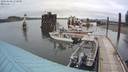 ./images/quadra/hbidock/20200609/hbidock20200609_174500M.jpg