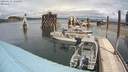 ./images/quadra/hbidock/20200610/hbidock20200610_132500M.jpg
