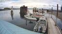 ./images/quadra/hbidock/20200610/hbidock20200610_134500M.jpg