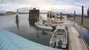 ./images/quadra/hbidock/20200610/hbidock20200610_135500M.jpg
