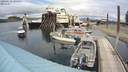 ./images/quadra/hbidock/20200610/hbidock20200610_144500M.jpg
