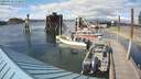 ./images/quadra/hbidock/20200610/hbidock20200610_172000M.jpg