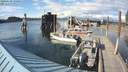 ./images/quadra/hbidock/20200610/hbidock20200610_180000M.jpg