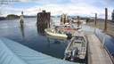 ./images/quadra/hbidock/20200611/hbidock20200611_151000M.jpg