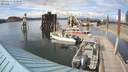 ./images/quadra/hbidock/20200611/hbidock20200611_174500M.jpg