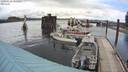 ./images/quadra/hbidock/20200612/hbidock20200612_135000M.jpg