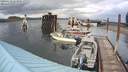 ./images/quadra/hbidock/20200612/hbidock20200612_153000M.jpg