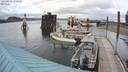 ./images/quadra/hbidock/20200612/hbidock20200612_172000M.jpg
