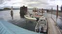 ./images/quadra/hbidock/20200612/hbidock20200612_172500M.jpg