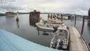 ./images/quadra/hbidock/20200613/hbidock20200613_114000M.jpg