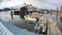 ./images/quadra/hbidock/20200613/hbidock20200613_184500M.jpg
