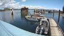 ./images/quadra/hbidock/20200614/hbidock20200614_111500M.jpg