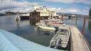 ./images/quadra/hbidock/20200614/hbidock20200614_145000M.jpg