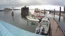./images/quadra/hbidock/20200615/hbidock20200615_095500M.jpg