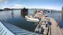 ./images/quadra/hbidock/20200618/hbidock20200618_174500M.jpg