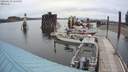 ./images/quadra/hbidock/20200619/hbidock20200619_135000M.jpg