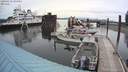 ./images/quadra/hbidock/20200619/hbidock20200619_143000M.jpg