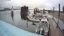 ./images/quadra/hbidock/20200620/hbidock20200620_100500M.jpg