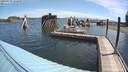 ./images/quadra/hbidock/20200629/hbidock20200629_102000M.jpg