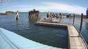 ./images/quadra/hbidock/20200629/hbidock20200629_110000M.jpg