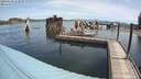./images/quadra/hbidock/20200629/hbidock20200629_113000M.jpg