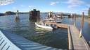 ./images/quadra/hbidock/20200629/hbidock20200629_183500M.jpg