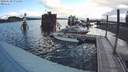 ./images/quadra/hbidock/20200630/hbidock20200630_075000M.jpg