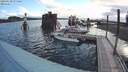 ./images/quadra/hbidock/20200630/hbidock20200630_075500M.jpg