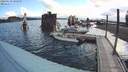 ./images/quadra/hbidock/20200630/hbidock20200630_080000M.jpg