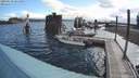 ./images/quadra/hbidock/20200630/hbidock20200630_081000M.jpg