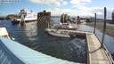 ./images/quadra/hbidock/20200630/hbidock20200630_083500M.jpg