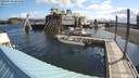 ./images/quadra/hbidock/20200630/hbidock20200630_084000M.jpg