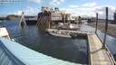 ./images/quadra/hbidock/20200630/hbidock20200630_084500M.jpg