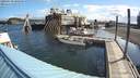 ./images/quadra/hbidock/20200630/hbidock20200630_090500M.jpg