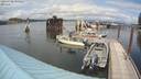 ./images/quadra/hbidock/20200702/hbidock20200702_145500M.jpg