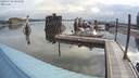 ./images/quadra/hbidock/20200703/hbidock20200703_081000M.jpg