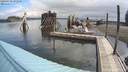 ./images/quadra/hbidock/20200703/hbidock20200703_092500M.jpg