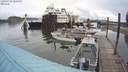 ./images/quadra/hbidock/20200704/hbidock20200704_084500M.jpg