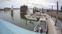 ./images/quadra/hbidock/20200704/hbidock20200704_101500M.jpg
