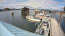 ./images/quadra/hbidock/20200704/hbidock20200704_155000M.jpg