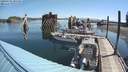 ./images/quadra/hbidock/20200705/hbidock20200705_095000M.jpg