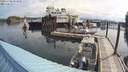 ./images/quadra/hbidock/20200706/hbidock20200706_084500M.jpg