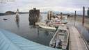 ./images/quadra/hbidock/20200706/hbidock20200706_154500M.jpg