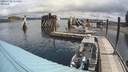 ./images/quadra/hbidock/20200708/hbidock20200708_111000M.jpg