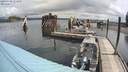 ./images/quadra/hbidock/20200708/hbidock20200708_111500M.jpg