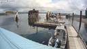 ./images/quadra/hbidock/20200708/hbidock20200708_112500M.jpg