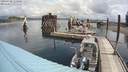 ./images/quadra/hbidock/20200708/hbidock20200708_113500M.jpg